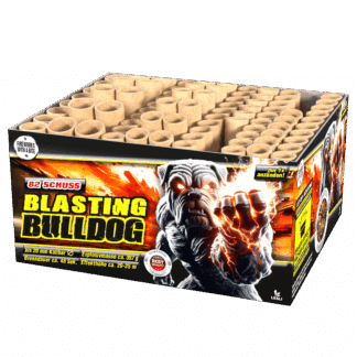 Lesli Blasting Bulldog mit 82 Schuss